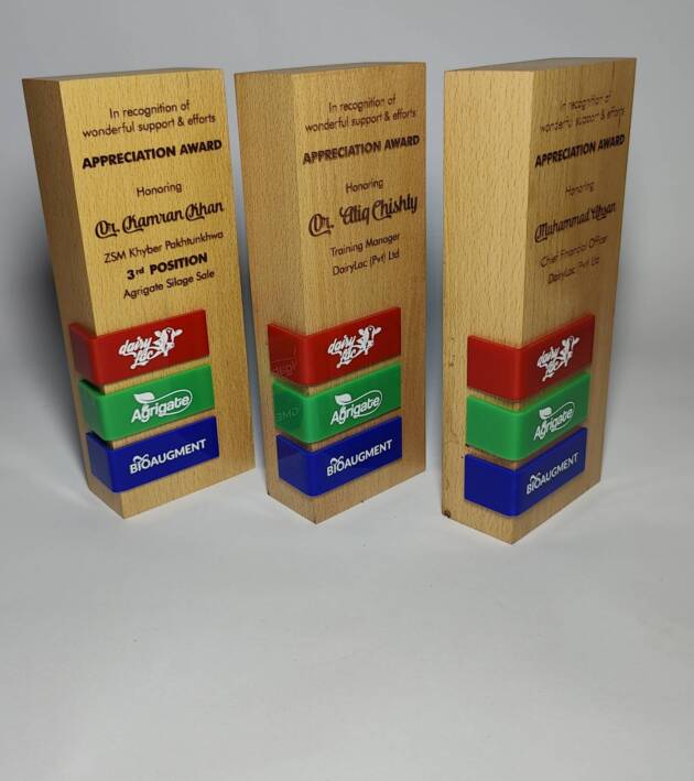 Rectangular Prism Shape WOODEN AWARDS
