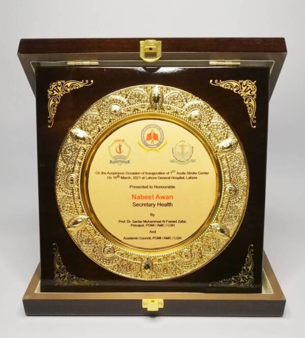 Round Shape WOODEN AWARDS