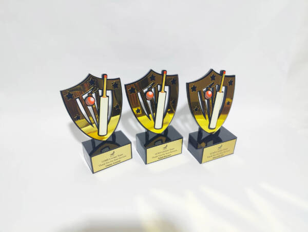 Service Team Acrylic Awards