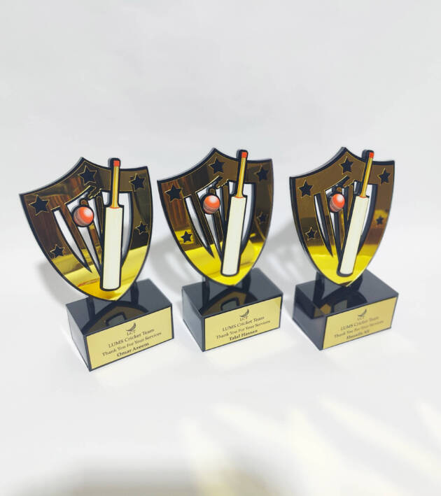 Service Team Acrylic Awards