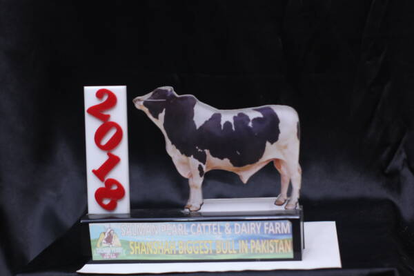 Acrylic Award