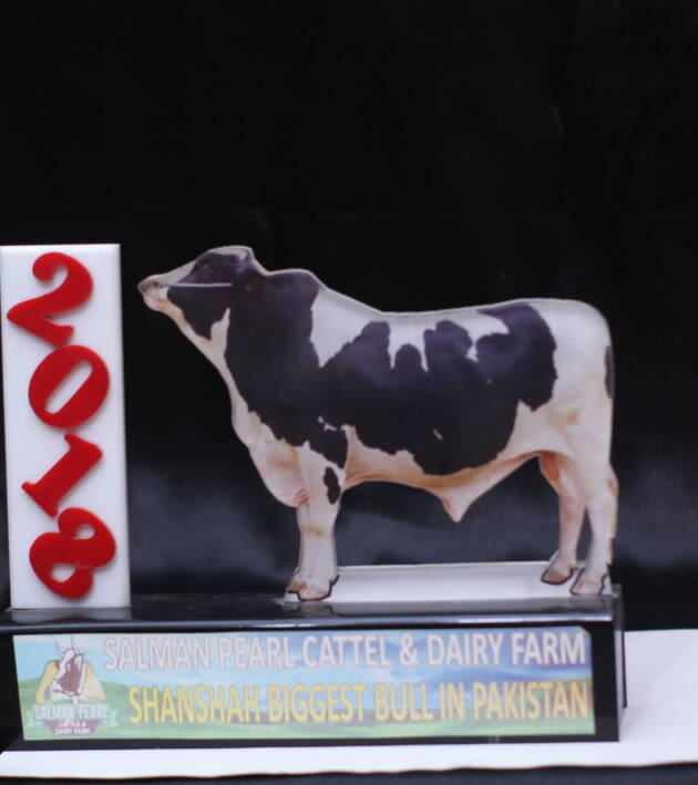 Acrylic Award