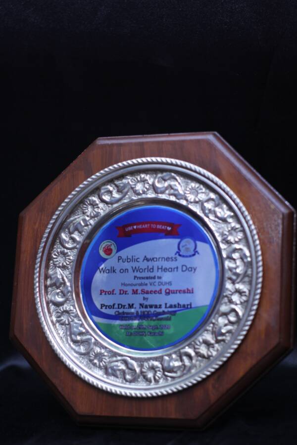Wooden Awards