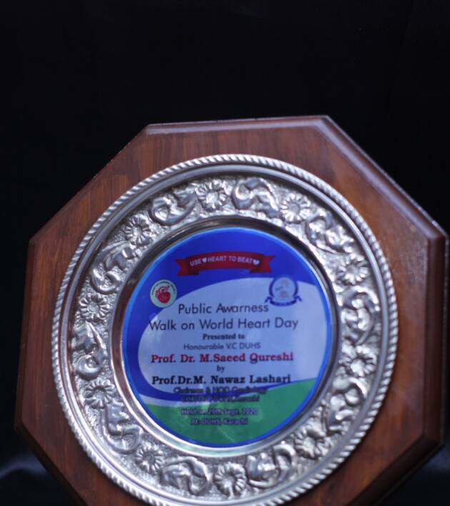 Wooden Awards